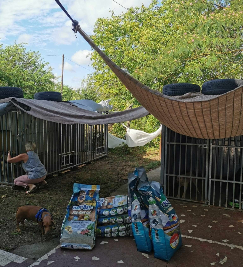 Mancs a Szívre Ifjúsági Centrum.