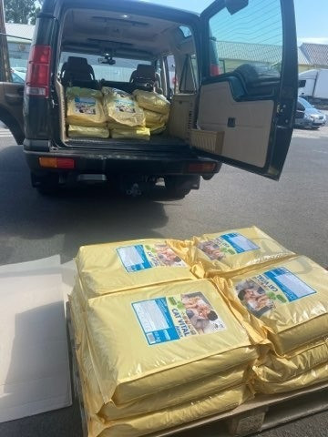 Magyar Macskavédő Közhasznú Alapítvány